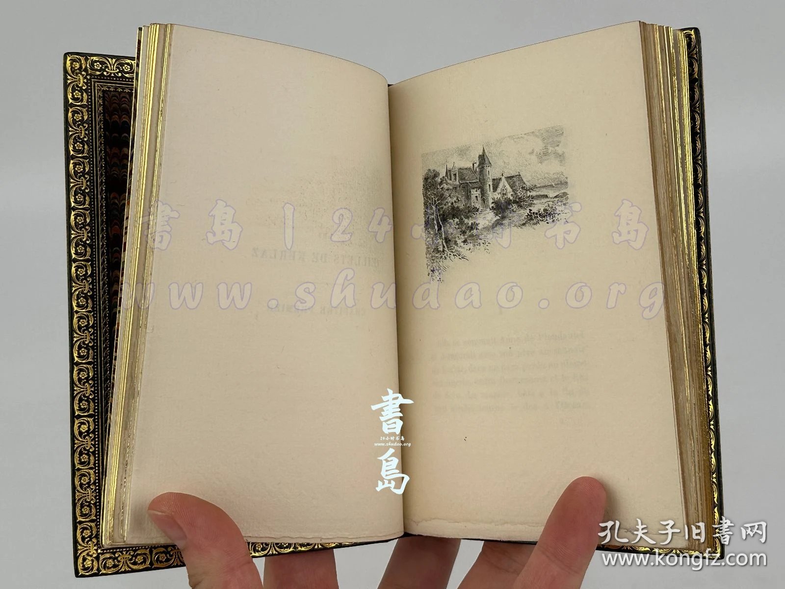 点击查看原图 限量1100本之第1039号!附试印封面/限量140例之第67号!出版商题赠友人!1885年法国巴黎《凯尔拉兹的康乃馨》Les oeillets de Kerlaz,法文,全皮精装,附插匣,镶皮康乃馨图案,巴黎装帧及烫金大师 Pétrus Ruban 装订,法国著名诗人及法兰西学术院院士安德烈·特里耶著,描绘19世纪末布列塔尼乡村风貌的抒情现实主义长篇画卷,内收整页蚀刻铜版画4幅、首尾饰插图8幅