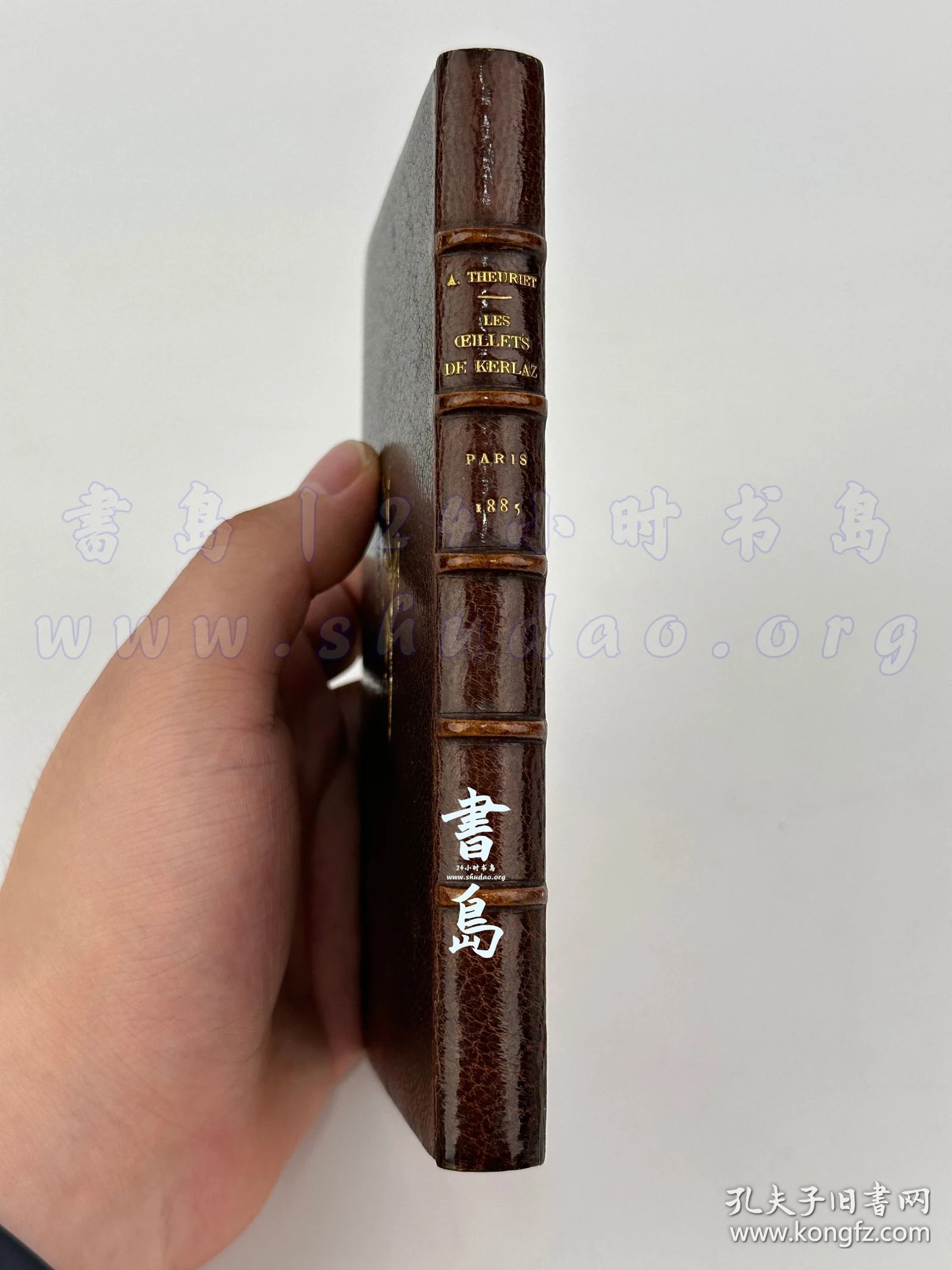 点击查看原图 限量1100本之第1039号!附试印封面/限量140例之第67号!出版商题赠友人!1885年法国巴黎《凯尔拉兹的康乃馨》Les oeillets de Kerlaz,法文,全皮精装,附插匣,镶皮康乃馨图案,巴黎装帧及烫金大师 Pétrus Ruban 装订,法国著名诗人及法兰西学术院院士安德烈·特里耶著,描绘19世纪末布列塔尼乡村风貌的抒情现实主义长篇画卷,内收整页蚀刻铜版画4幅、首尾饰插图8幅
